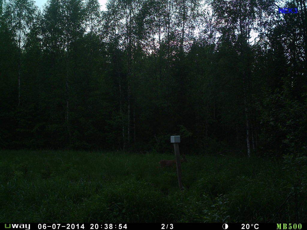 Metsäinen maisema ja eräseuran arkea